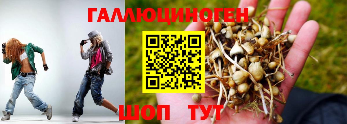 Псилоцибиновые грибы Magic Shrooms  Вход с VPN  Лобня  Галлюциногенные грибы мухоморы 